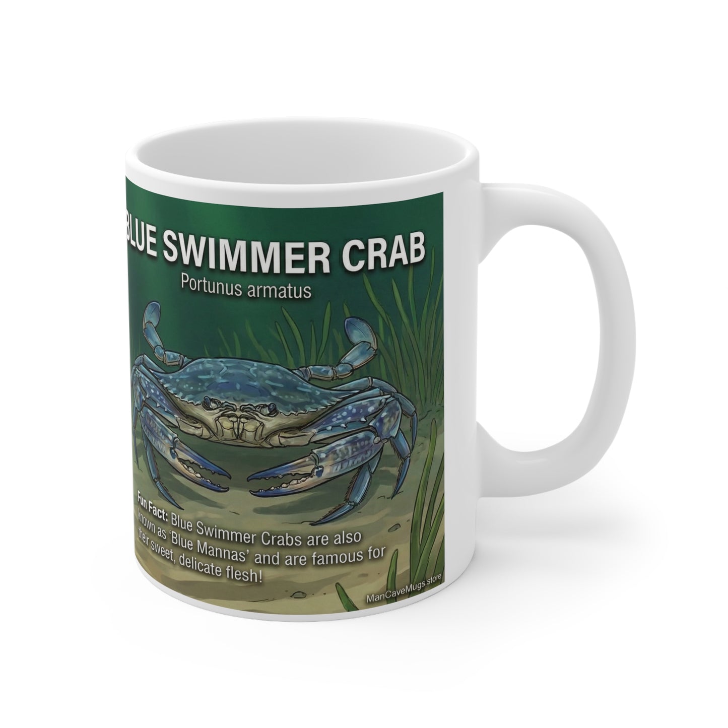 Blue Swimmer Crab Ceramic Mug — Marine Life Facts & Fishing Techniques, 11oz