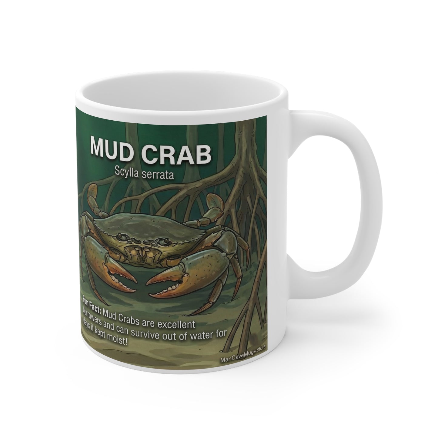 Mud Crab Ceramic Mug — Marine Life Specimen Diagram Coffee Cup