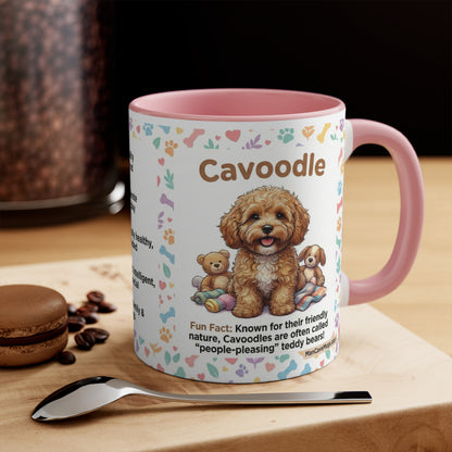Cavoodle Info Accent Coffee Mug — Colorful 11oz Guide (Size, Care, Temperament)
