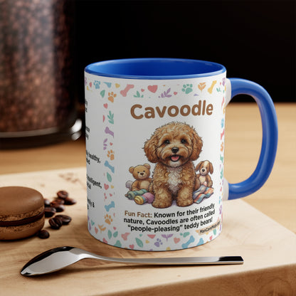 Cavoodle Info Accent Coffee Mug — Colorful 11oz Guide (Size, Care, Temperament)