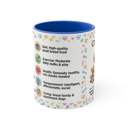 Cavoodle Info Accent Coffee Mug — Colorful 11oz Guide (Size, Care, Temperament)