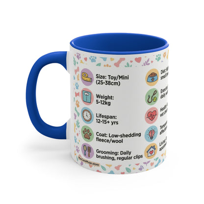 Cavoodle Info Accent Coffee Mug — Colorful 11oz Guide (Size, Care, Temperament)