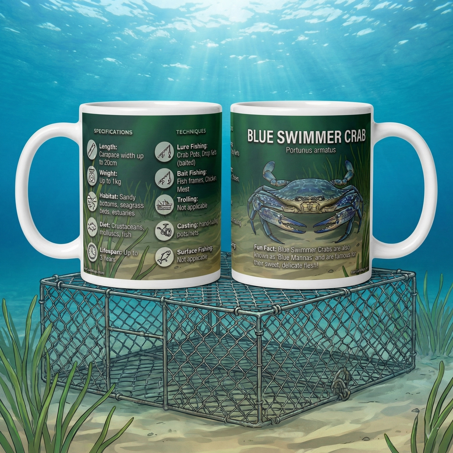 Blue Swimmer Crab Ceramic Mug — Marine Life Facts & Fishing Techniques, 11oz