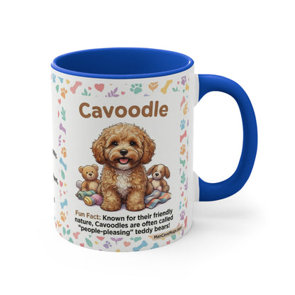 Cavoodle Info Accent Coffee Mug — Colorful 11oz Guide (Size, Care, Temperament)