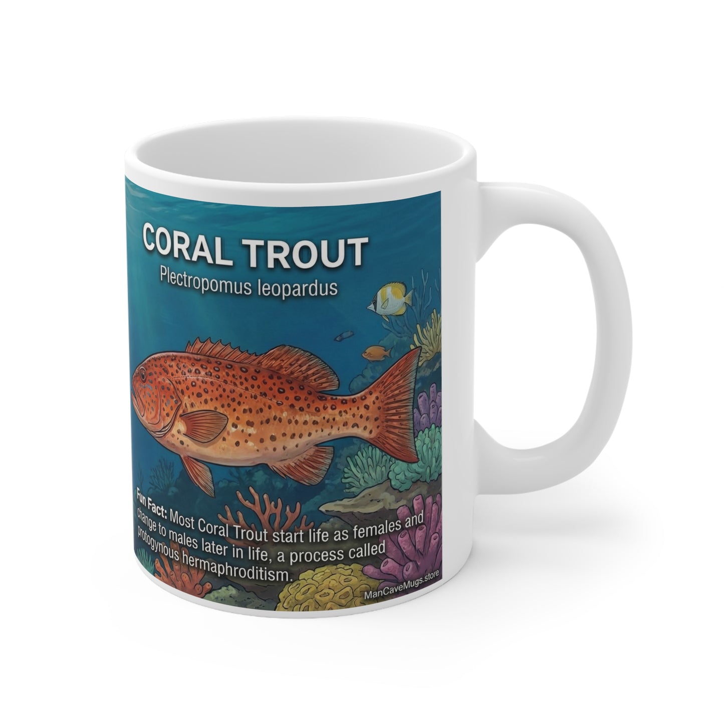 Coral Reef Fish Specs Ceramic Mug — 11oz Educational Marine Life Coffee Cup